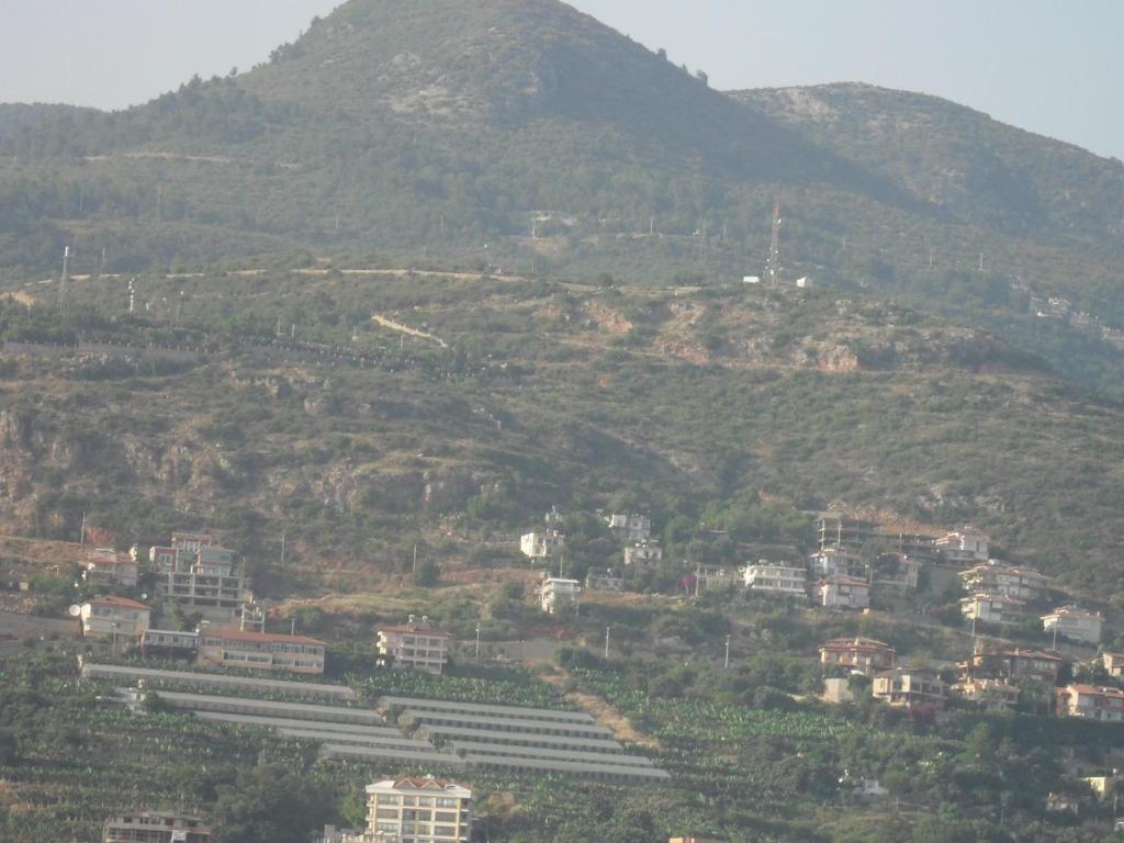 Hotel Yildirimoglu Alanya Room photo