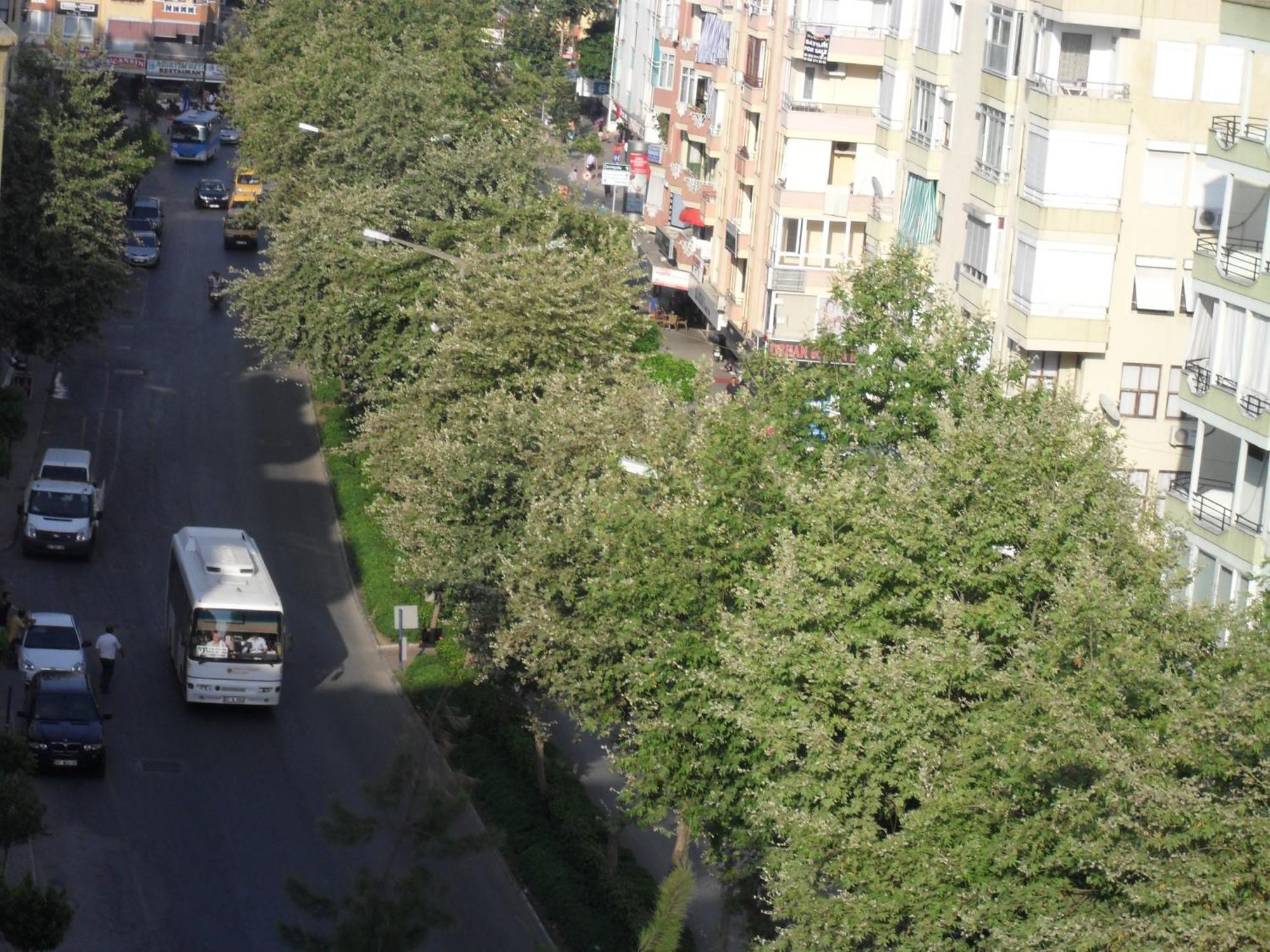 Hotel Yildirimoglu Alanya Exterior photo